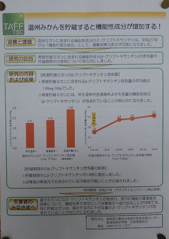 温州ミカンを貯蔵すると機能性成分が増加する