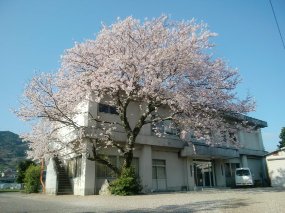 2-新年度に花添えて