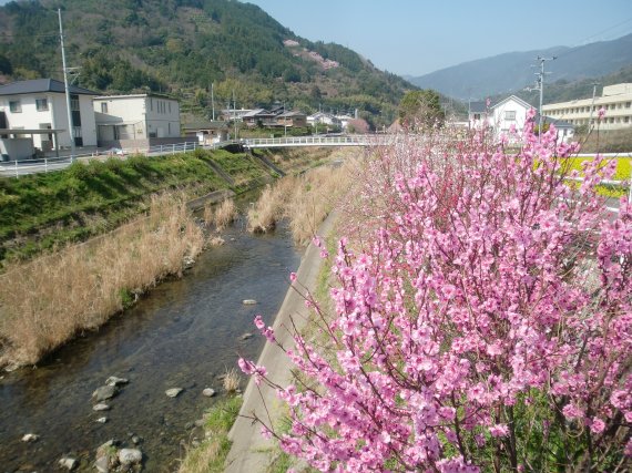 2-春の音聞こえたよ。