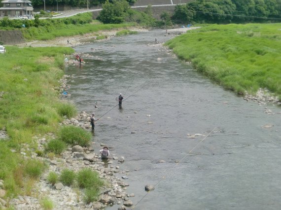 鮎解禁
