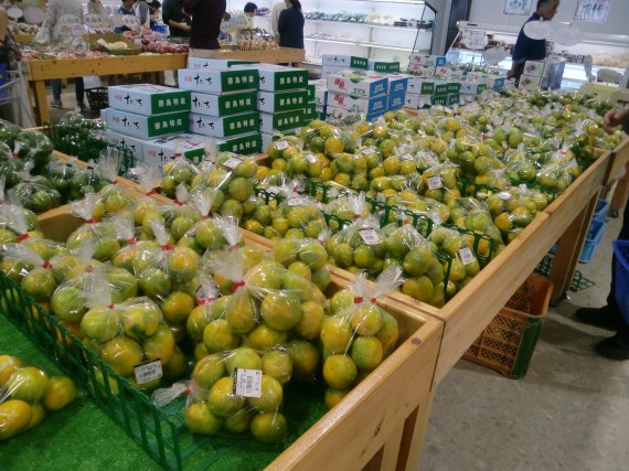 2-実りの秋。みかん狩りと軽トラ市