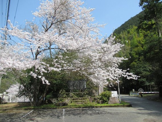 立川地区　改良区記念碑周辺